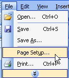 file.page.setup